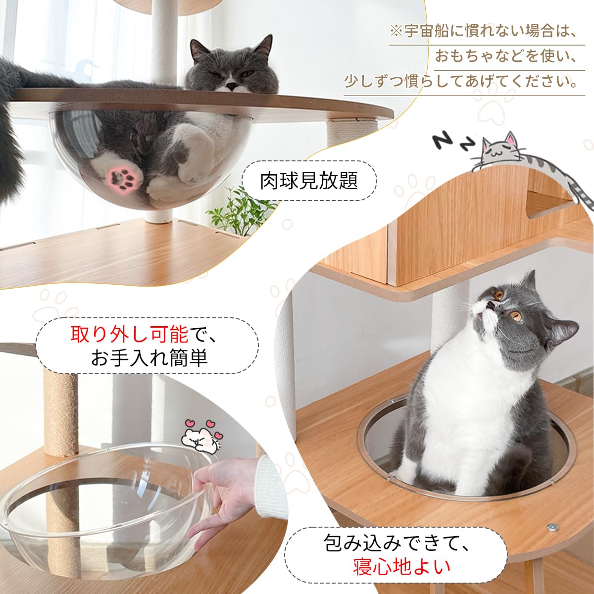 Amazon | 日本メーカー RAKU キャットタワー 木製 宇宙船付き 子猫 短
